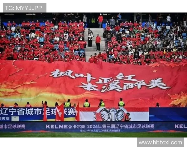 卡尔美足球明星阵容全解析领略顶级球员风采与实力对决